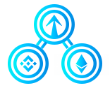 Rise is a Multi-Chain Token